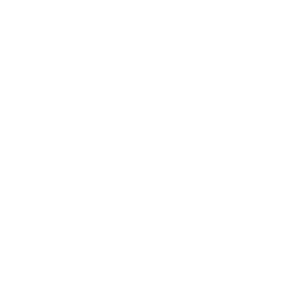 Zara Wasif